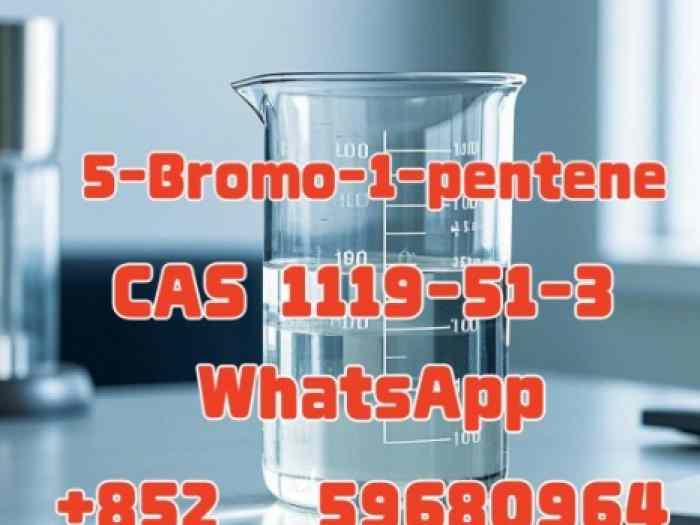 5-Bromo-1-pentene CAS 1119-51-3