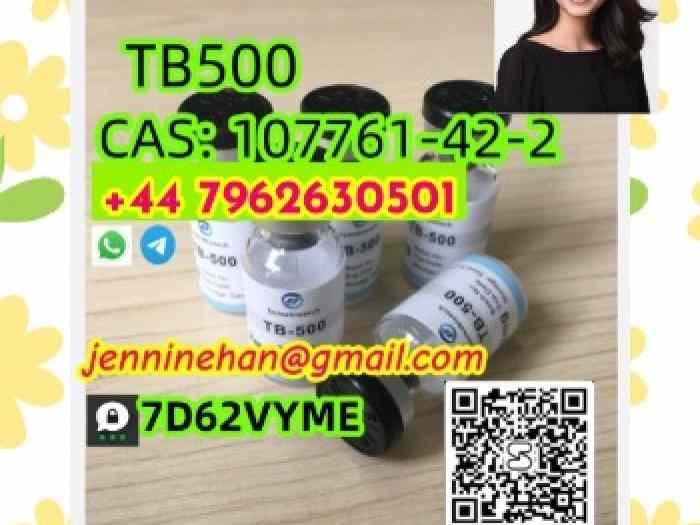 TB500 CAS 107761-42-2 107761-42-2 Purity 99% 3