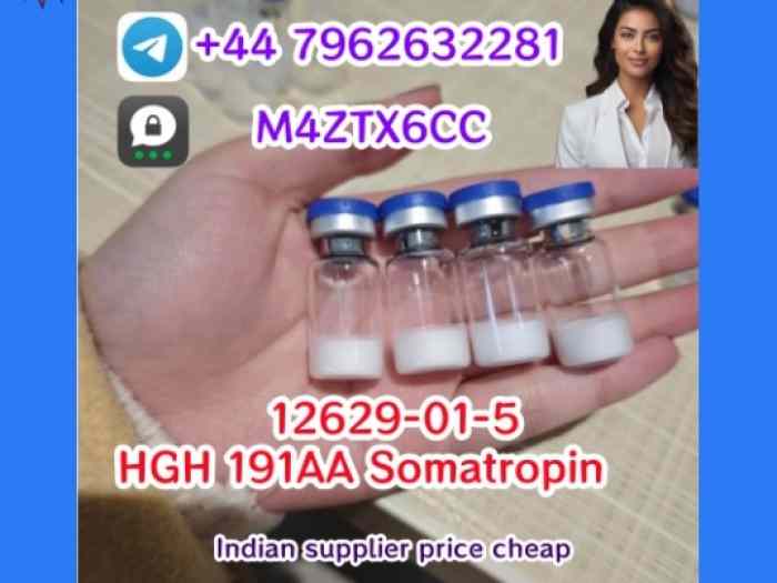 Cas 12629-01-5 HGH Somatropin factory supply from India 3