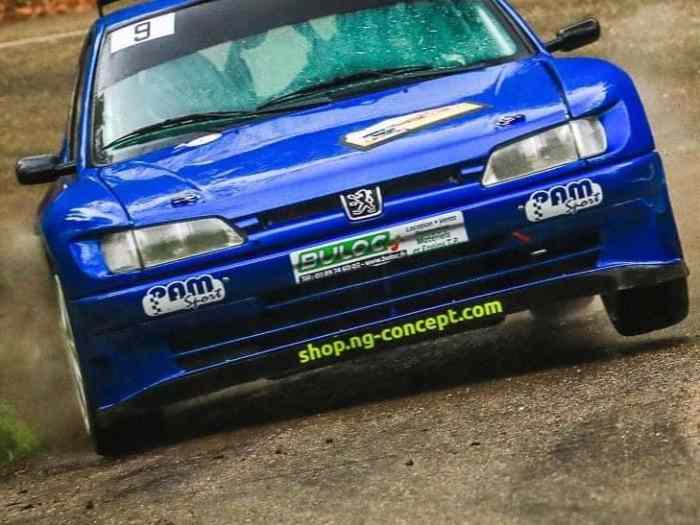306 maxi 3