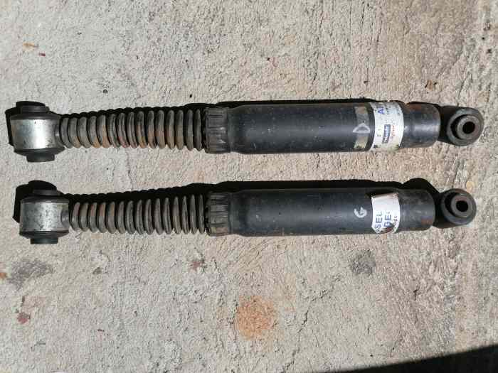 Amortisseur arriere asphalte 207 R3T