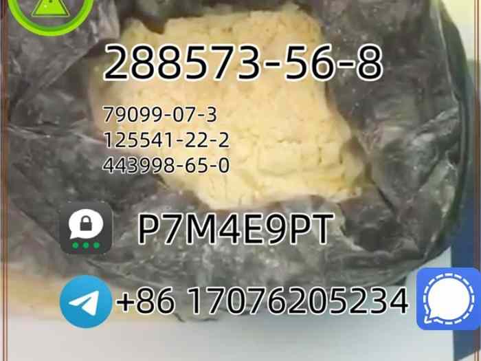 288573 n5 hotsale in the United States