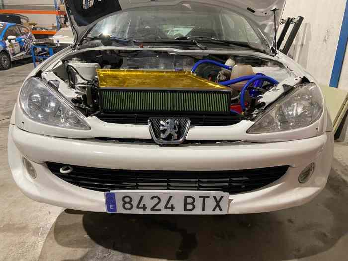 Peugeot 206 F2000 2