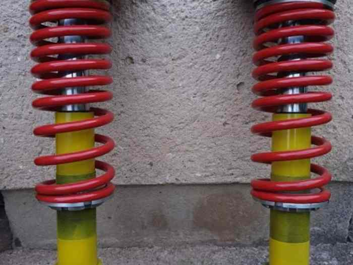 Amortisseurs bilstein gt turbo ph2