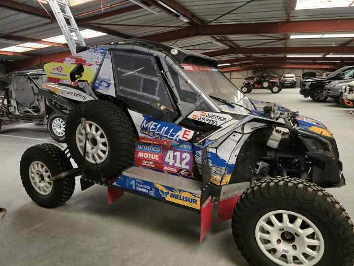 can am T4 fia 2