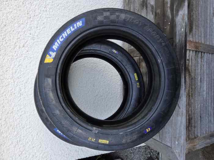 Pneus Michelin r21 19/63/17 neuf