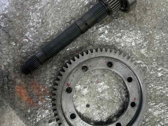 Couple smann 14x62 BE