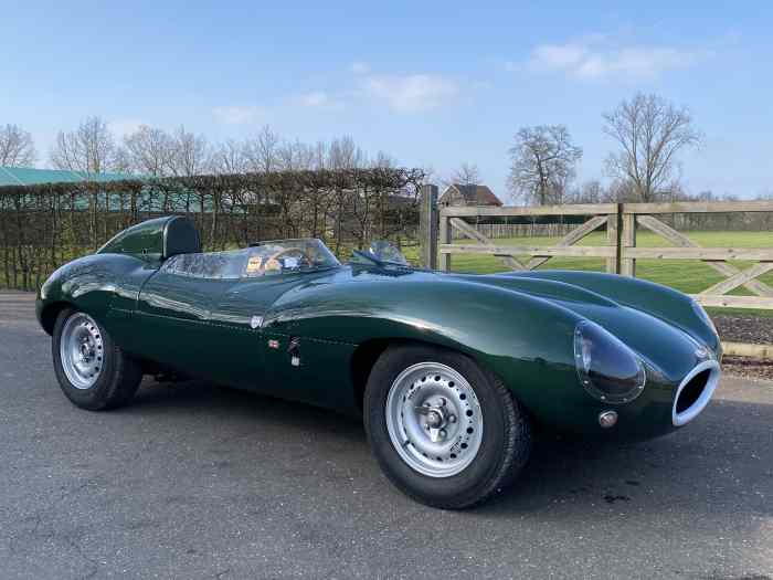 Jaguar D-Type replica - RAM - 1958 2