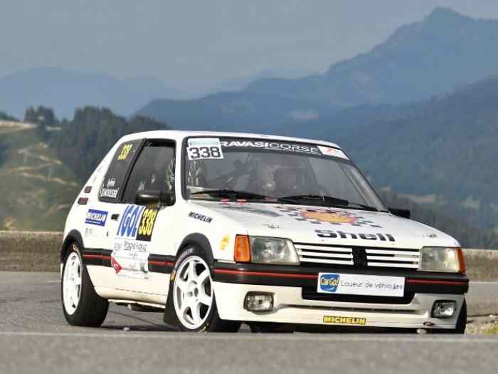 205 GTI 1.9