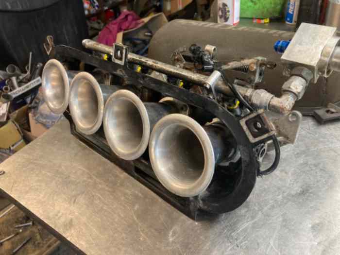 injection papillons jenvey clio rs 1