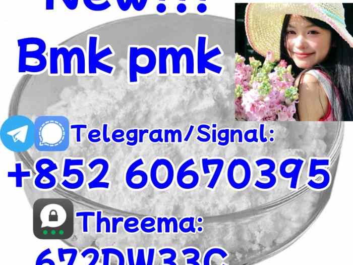 China factory supply Bmk/Pmk low price 1