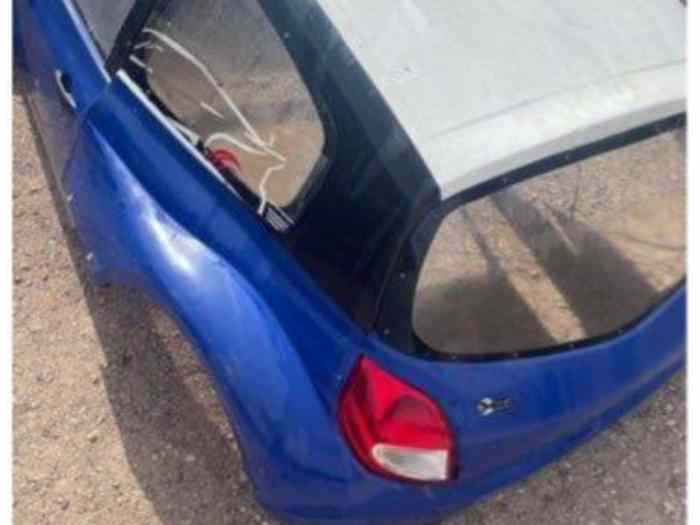 Coque fibre clio 1