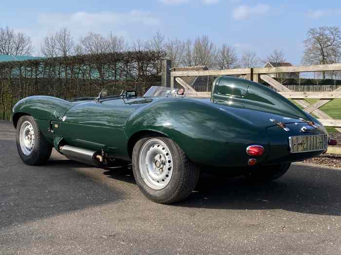 Jaguar D-Type replica - RAM - 1958 1