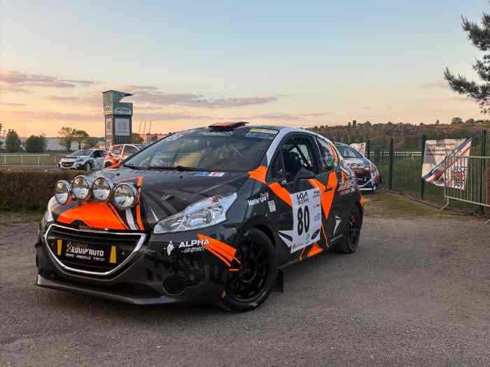 PEUGEOT 208 R2 Evo 4