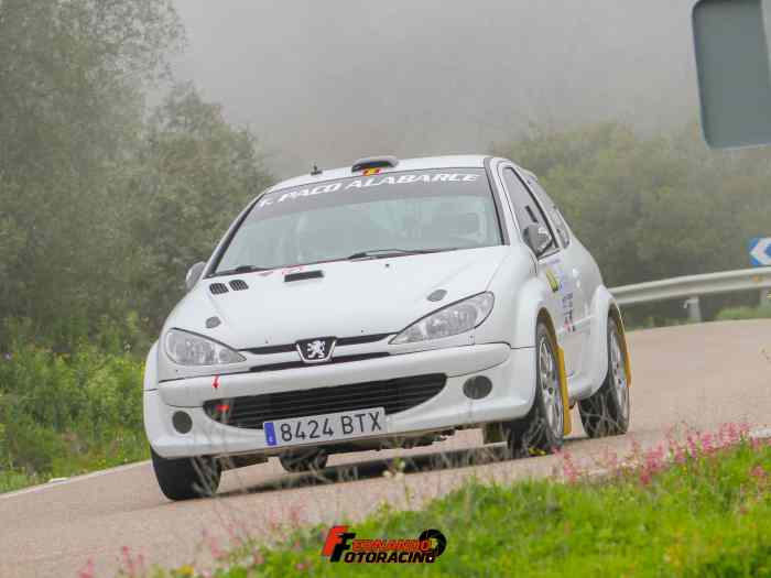 Peugeot 206 F2000