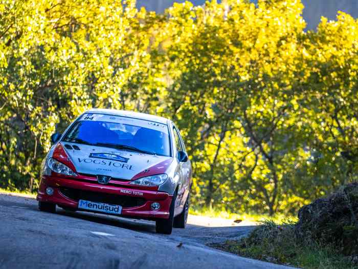 Peugeot 206 XS VOLANT A6K 1