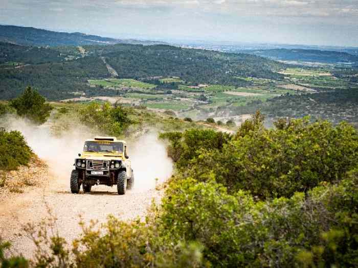 Land Rover defender v8 3