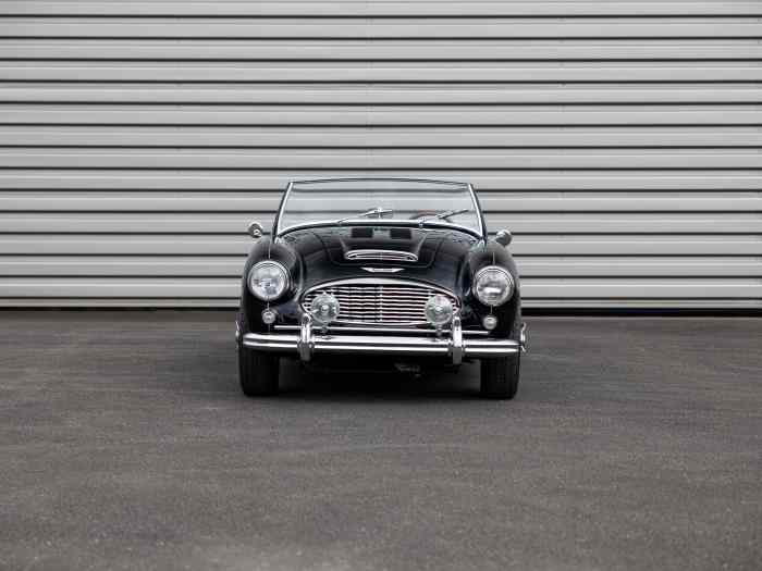 Austin Healey 100/6 BN4 1