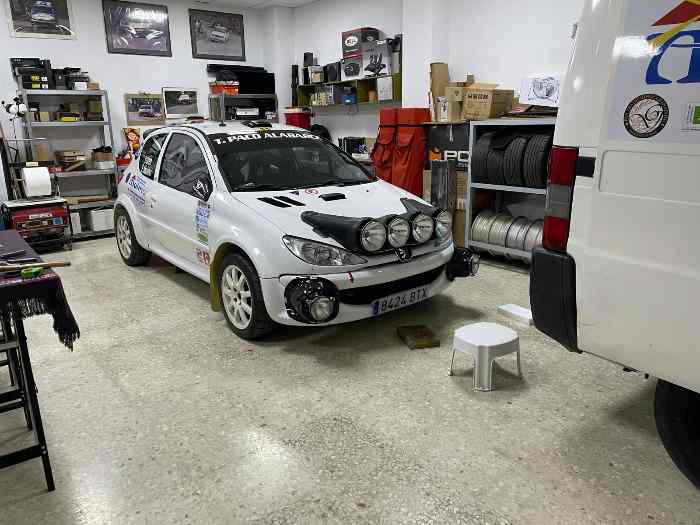 Peugeot 206 F2000 4