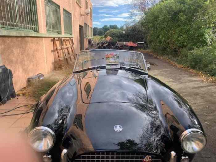 AC cobra 1964 1