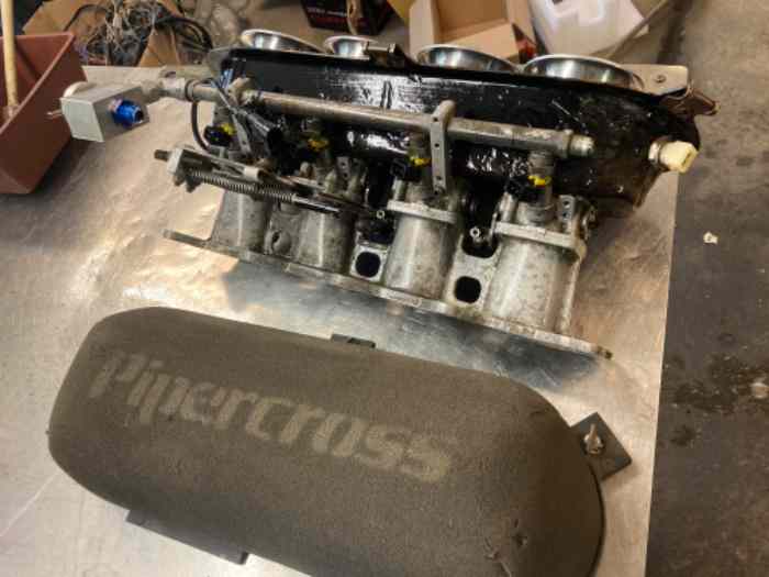 injection papillons jenvey clio rs 2