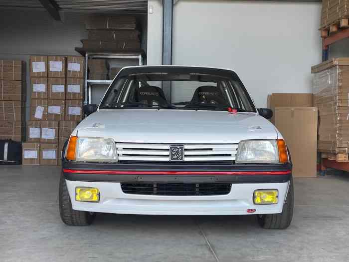 205 GTi 1.9 Gr.A - PTH FIA