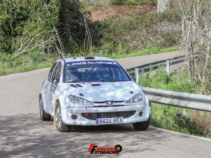 Peugeot 206 F2000 5
