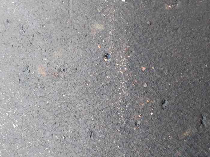 ÀV PNEUS MICHELIN S5C+ 1