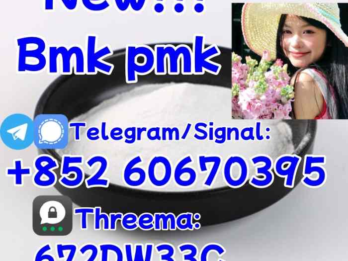 China factory supply Bmk/Pmk low price 5
