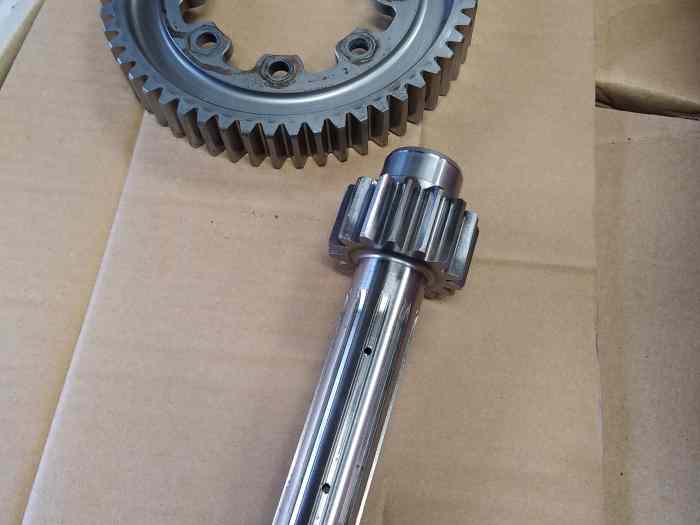 Couple sadev 15x54 3