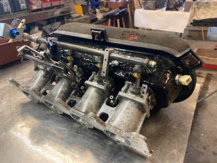 injection papillons jenvey clio rs 0