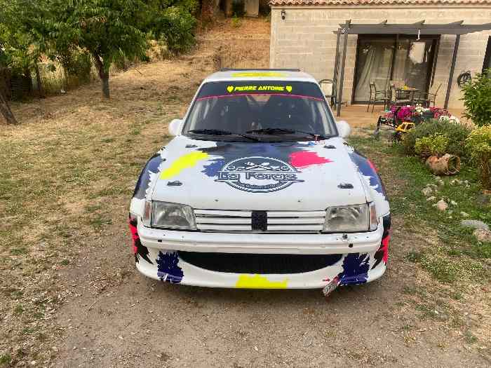 Peugeot 205 f2000 14