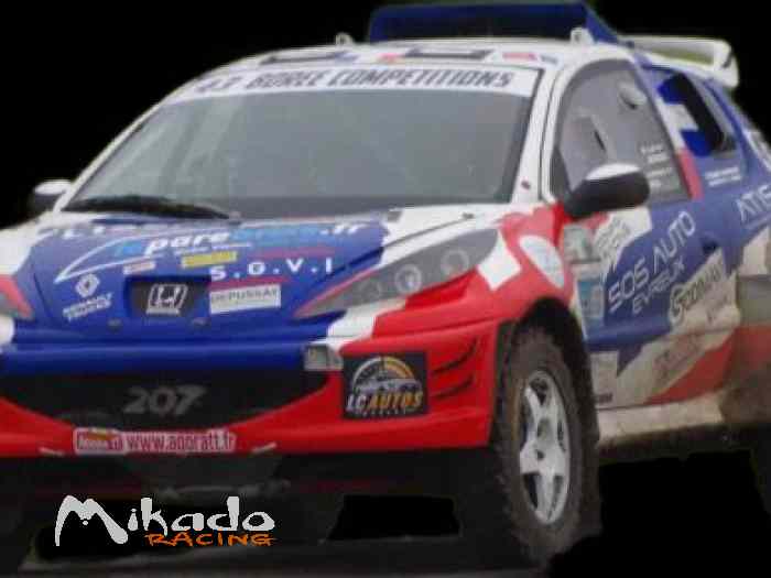 vend Buggy rivet 207 moteur Honda s2000 voiture dans le top 10 du championnat France des rallye tout terrain(prix / perfo / entretien imbattable) 2