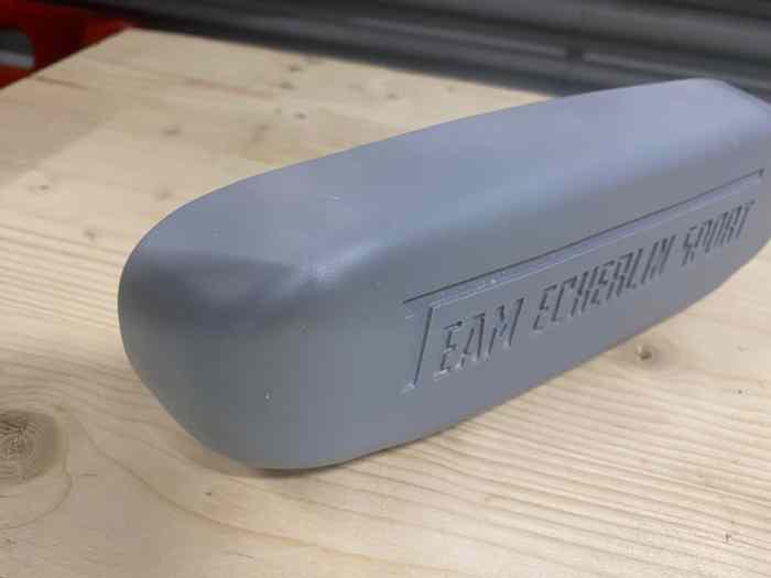 Protection trappe de toit 2