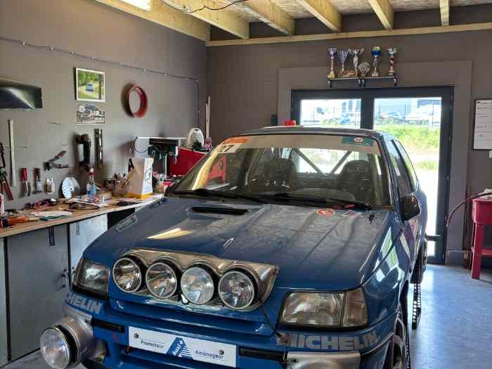 clio williams f214 2