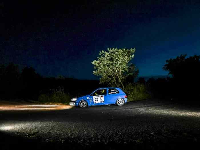 clio williams f214 1