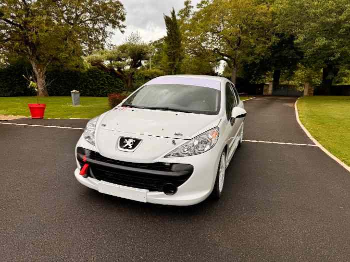 207 f2015 3