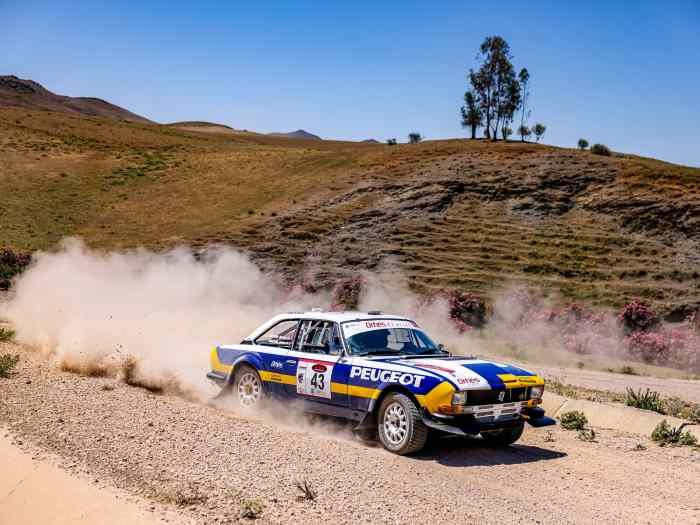 Peugeot 504 Gr.5