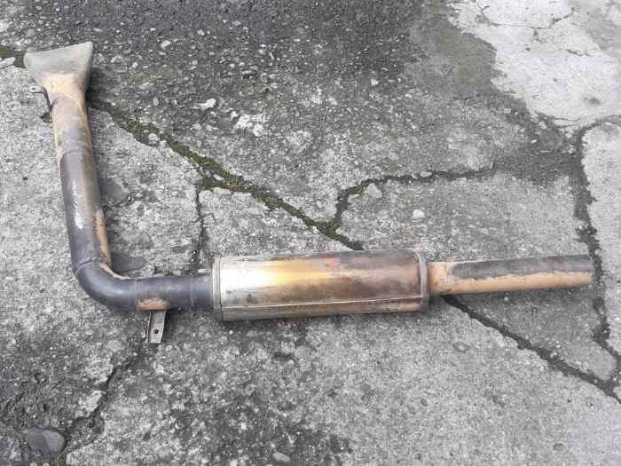 Queue de carpe clio 2 inox