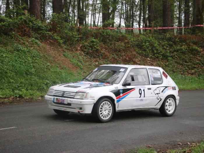 205 rallye f2012