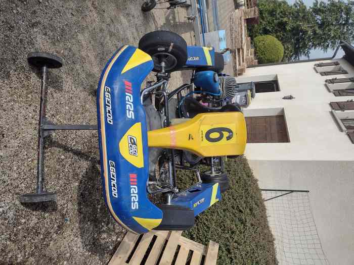 Mini kart