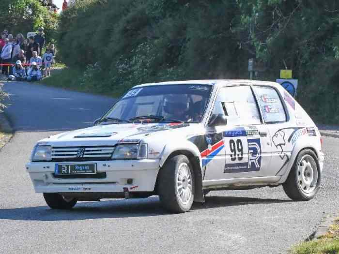 205 rallye f2012 5