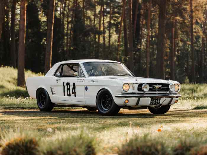 1965 Ford Mustang Race Car 1
