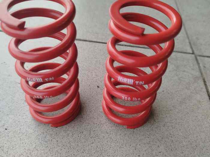 Ressorts Dallara/FR 300 livres