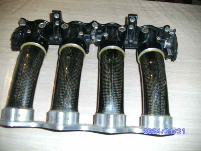 INJECTION 4 PAPILLIONS SODEMO POUR MOT...