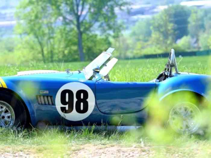 AC COBRA CONTEMPORARY 2
