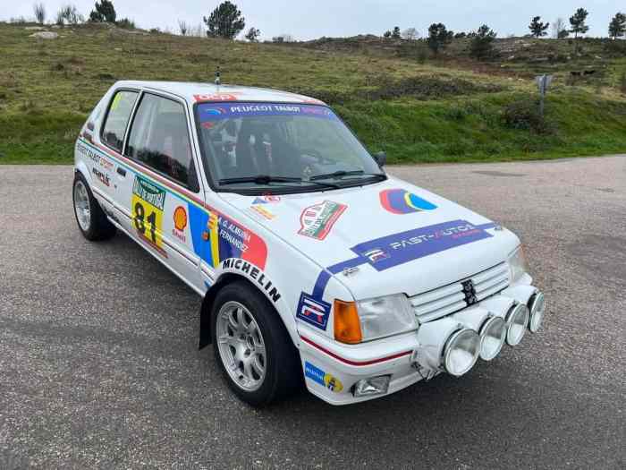 Peugeot 205 Gti Gr.A