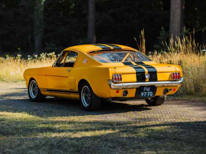Ford Mustang Fastback « Shelby » de 1965 1