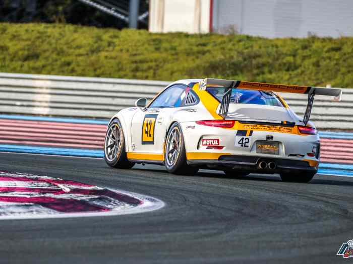 Porsche 991.1 GT3 CUP 2014 1