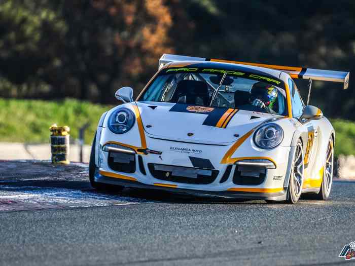 Porsche 991.1 GT3 CUP 2014 0